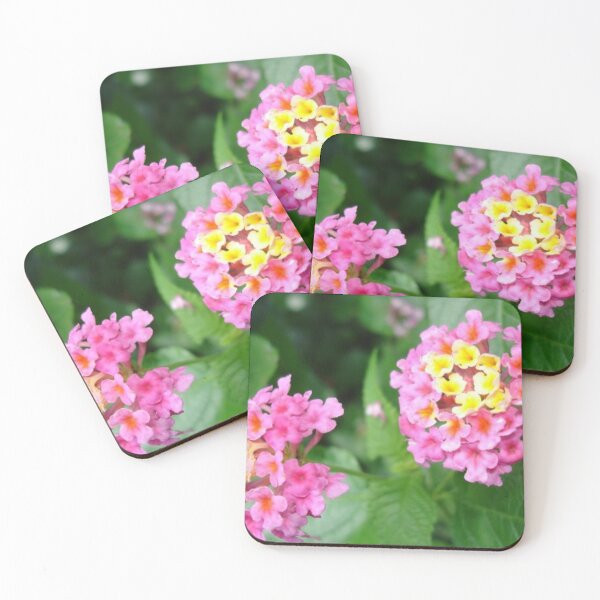 Artikelvorschau, Lantana Landmark Rose entworfen und verkauft von cascadecuts.