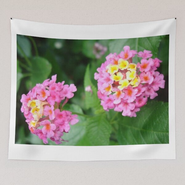 Artikelvorschau, Lantana Landmark Rose entworfen und verkauft von cascadecuts.