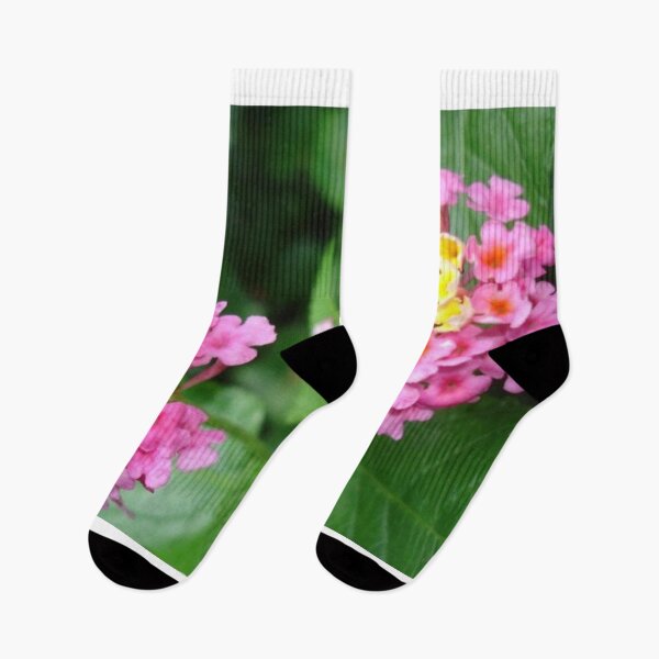 Artikelvorschau, Lantana Landmark Rose entworfen und verkauft von cascadecuts.