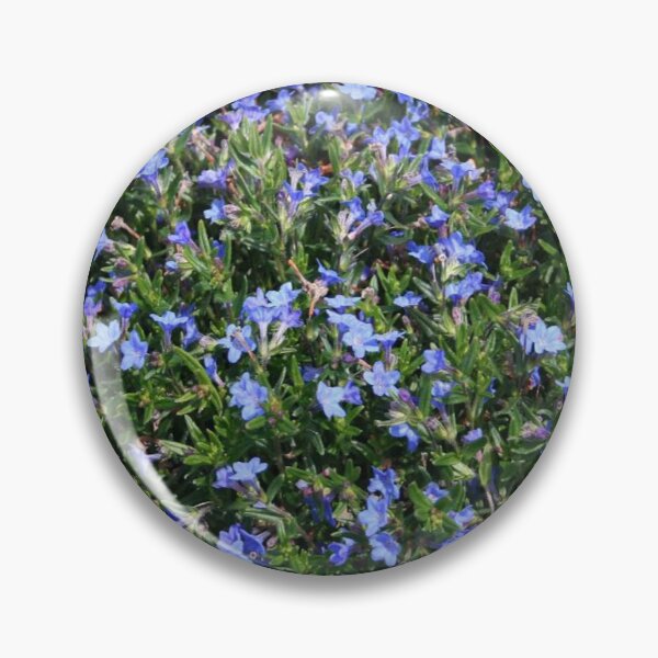 Artikelvorschau, Lithodora Grace Ward entworfen und verkauft von cascadecuts.