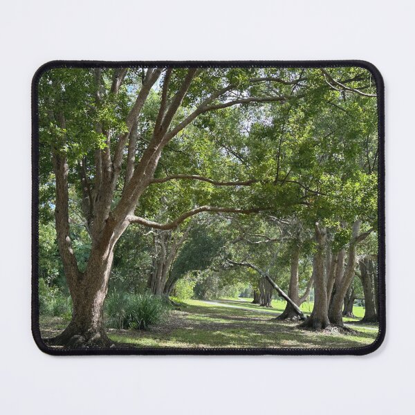 Item preview, A walkway of trees designed and sold by KrissfromOZ.