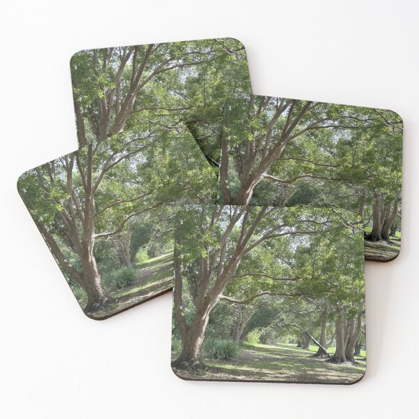Item preview, A walkway of trees designed and sold by KrissfromOZ.