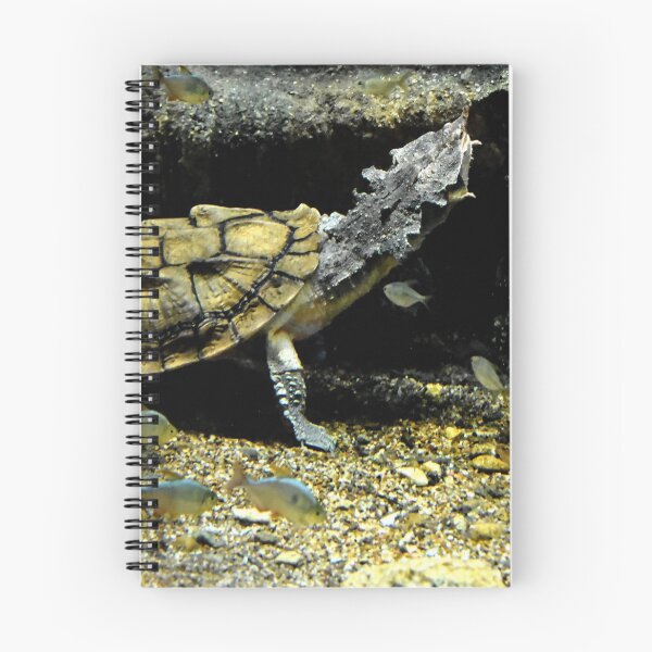 Item preview, Mata Mata Turtle... designed and sold by Poete100.