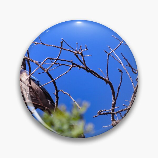 Item preview, Gould Mesa Trail, California designed and sold by supernova23.