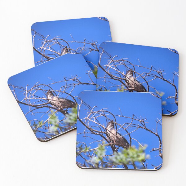 Item preview, Gould Mesa Trail, California designed and sold by supernova23.