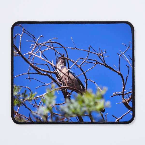 Item preview, Gould Mesa Trail, California designed and sold by supernova23.