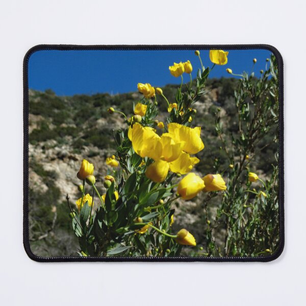 Item preview, Gould Mesa Trail, California designed and sold by supernova23.