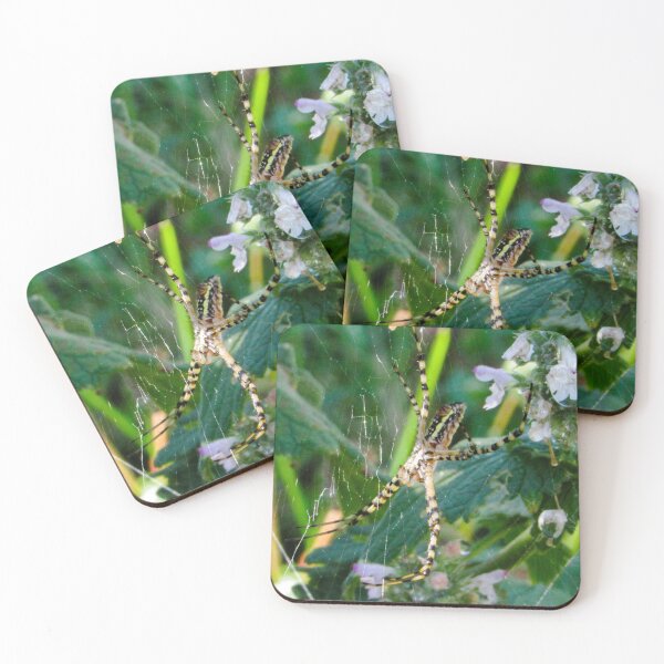Item preview, Garden Spider and Web designed and sold by Christine Schulte.