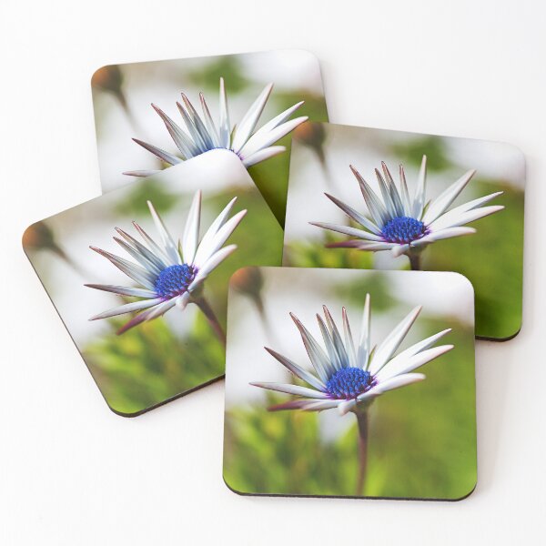 Item preview, Mad About Daisies Flowers designed and sold by Joy Watson - Natural Light Photography .
