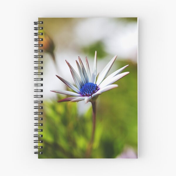 Item preview, Mad About Daisies Flowers designed and sold by Joy Watson - Natural Light Photography .