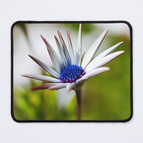 Item preview, Mad About Daisies Flowers designed and sold by Joy Watson - Natural Light Photography .