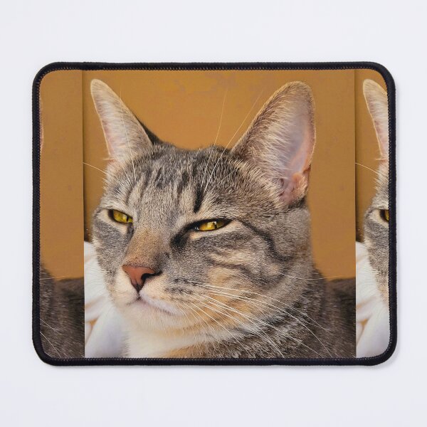 Item preview, Don't tell me to smile! designed and sold by Travelbox.