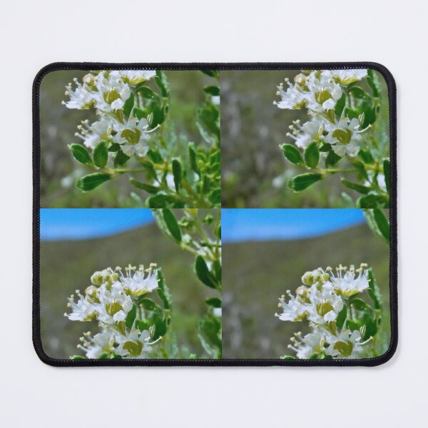 Item preview, Chamise Plant (Chaparral Stronghold) designed and sold by MIIKE DESIGN.