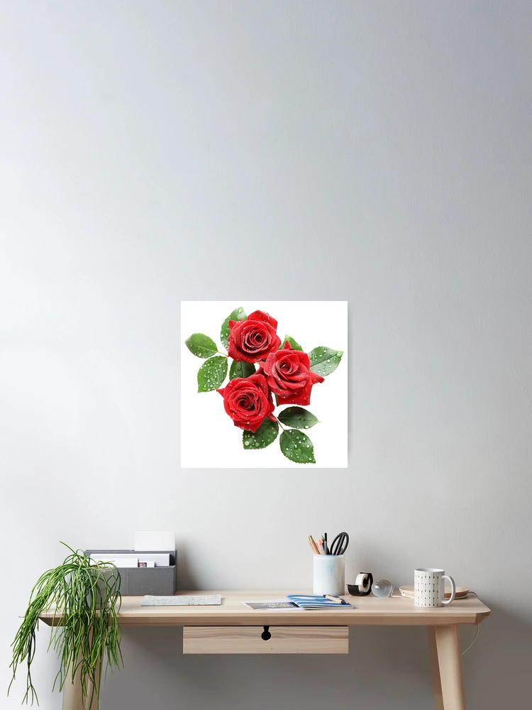 Thumbnail 2 of 3, Poster, Red Roses - Roses Collection designed and sold by Styled by Anne.