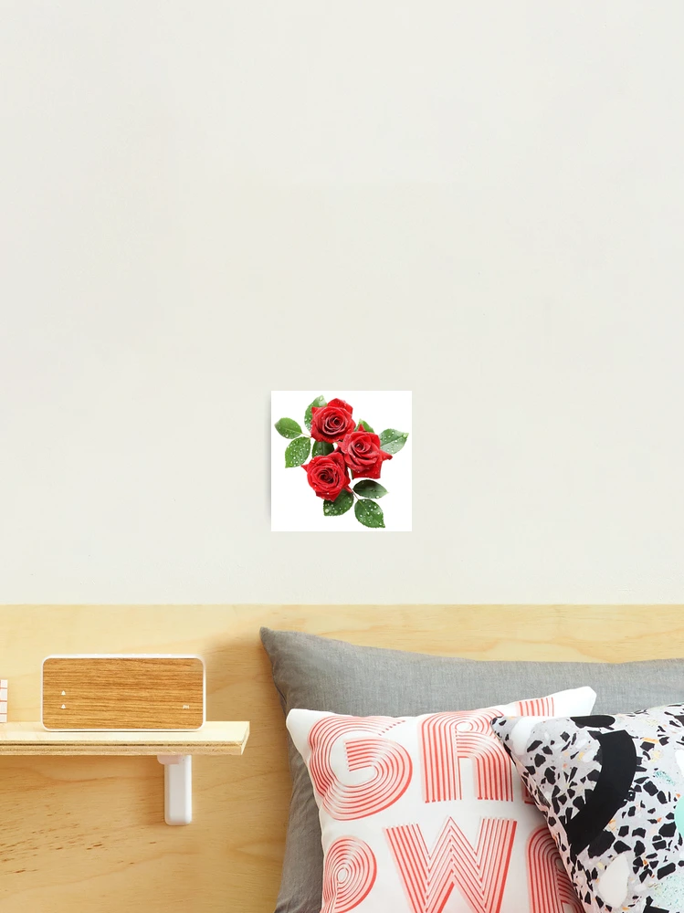 Thumbnail 2 of 3, Photographic Print, Red Roses - Roses Collection designed and sold by Styled by Anne.