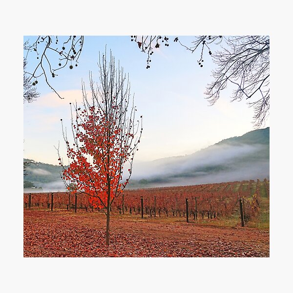 Item preview, Autumn, Myrtleford designed and sold by Harry Oldmeadow.