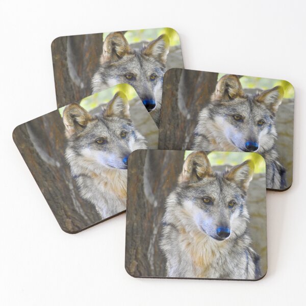 Item preview, Gorgeous Endangered Mexican Wolf Fine Art Print designed and sold by Yogibear & Rachelle .