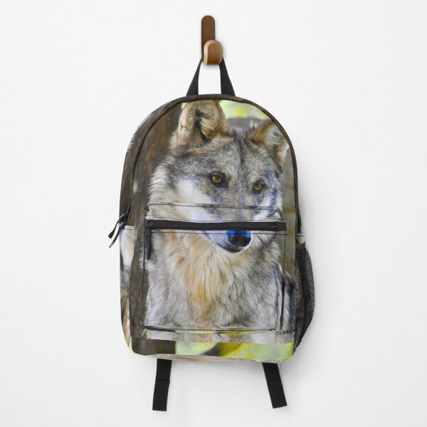 Item preview, Gorgeous Endangered Mexican Wolf Fine Art Print designed and sold by Yogibear & Rachelle .