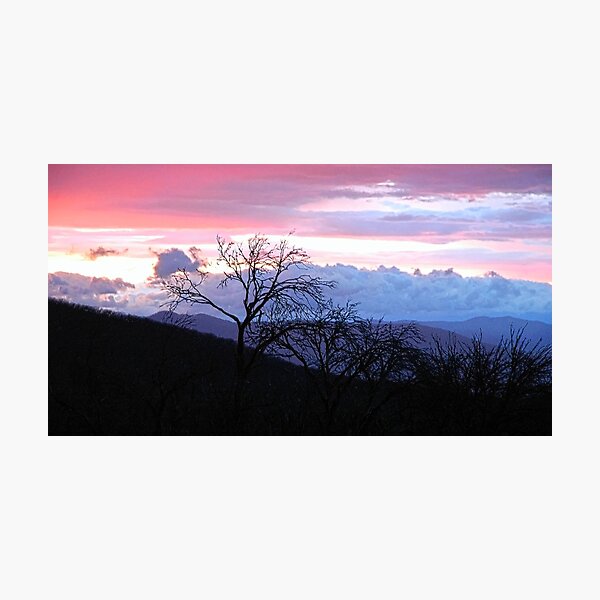 Item preview, Feathertop Sunset designed and sold by Harry Oldmeadow.