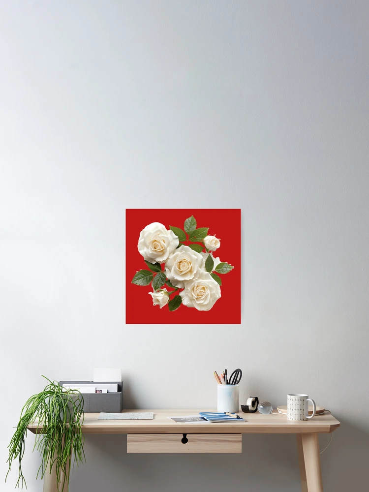 Thumbnail 2 of 3, Poster, White Roses - Roses Collection designed and sold by Styled by Anne.