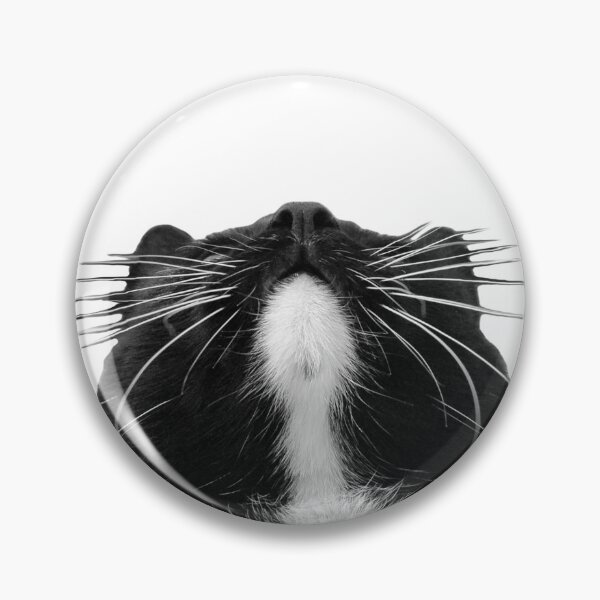 Item preview, Arrogant cat face meme designed and sold by CryptoLadyGabi.