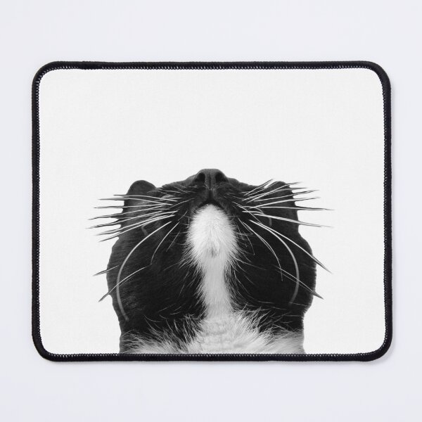 Item preview, Arrogant cat face meme designed and sold by CryptoLadyGabi.