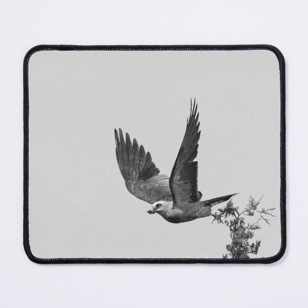 Item preview, Mississippi kite Carrying Cicada in its Beak designed and sold by Puttaswamy Ravishankar.