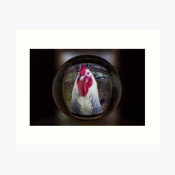 Cock and Ball Art Print