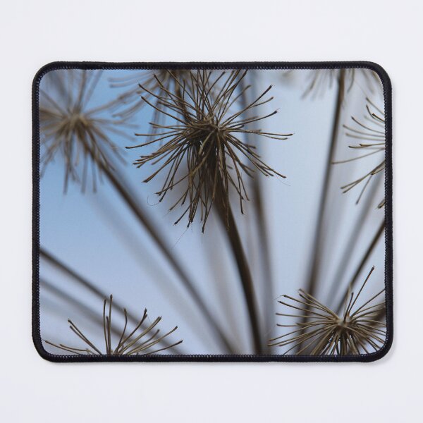 Item preview, Dried Wildflower Minimal Nature Paris designed and sold by eddiebarronshop.