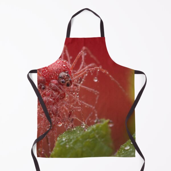 Item preview, Dew-Covered Arachnid designed and sold by Sadia Jannat.