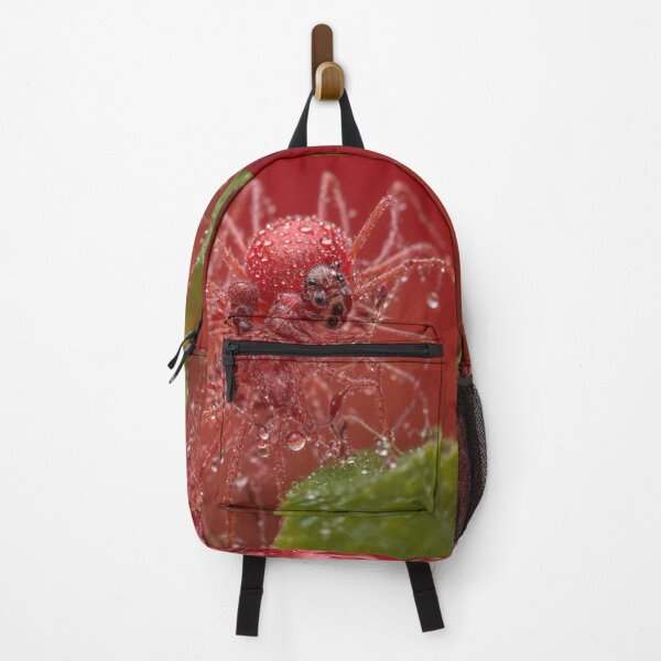 Item preview, Dew-Covered Arachnid designed and sold by Sadia  Jannat.