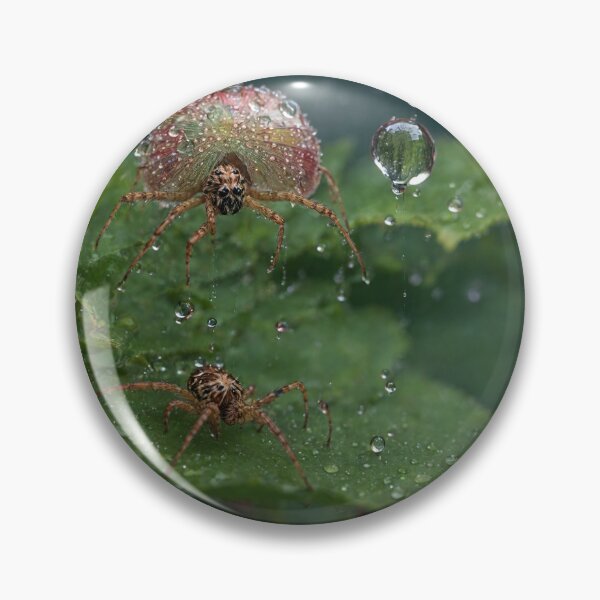 Item preview, Raindrop Adorned Spide designed and sold by Sadia  Jannat.