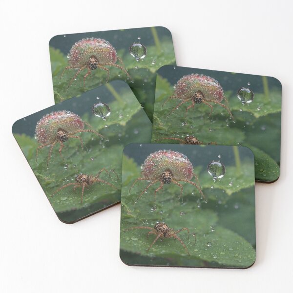 Item preview, Raindrop Adorned Spide designed and sold by Sadia  Jannat.