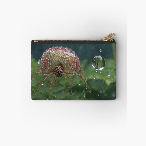 Item preview, Raindrop Adorned Spide designed and sold by Sadia  Jannat.