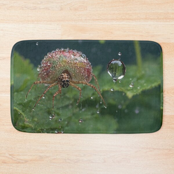 Item preview, Raindrop Adorned Spide designed and sold by Sadia  Jannat.