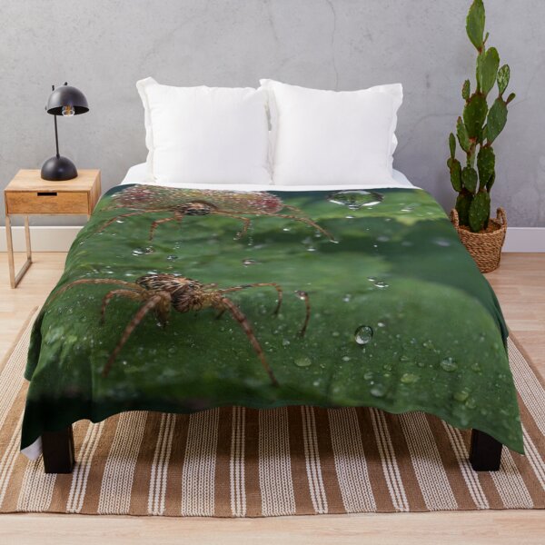 Item preview, Raindrop Adorned Spide designed and sold by Sadia  Jannat.