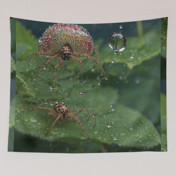 Item preview, Raindrop Adorned Spide designed and sold by Sadia  Jannat.