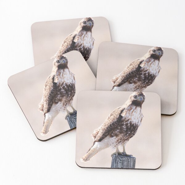 Item preview, Immature Red Tailed Hawk designed and sold by Alyce Taylor.