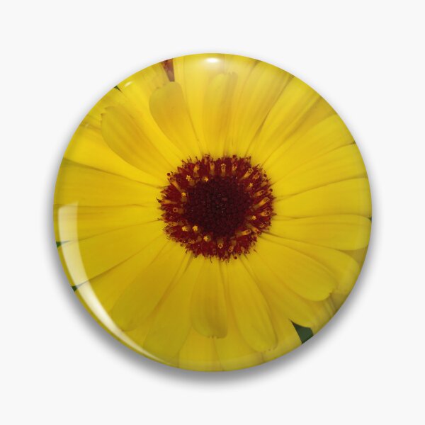 Item preview, Pot marigold bright yellow designed and sold by Jouko Lehto Photography.