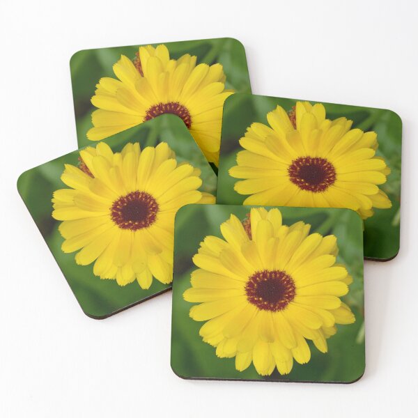 Item preview, Pot marigold bright yellow designed and sold by Jouko Lehto Photography.