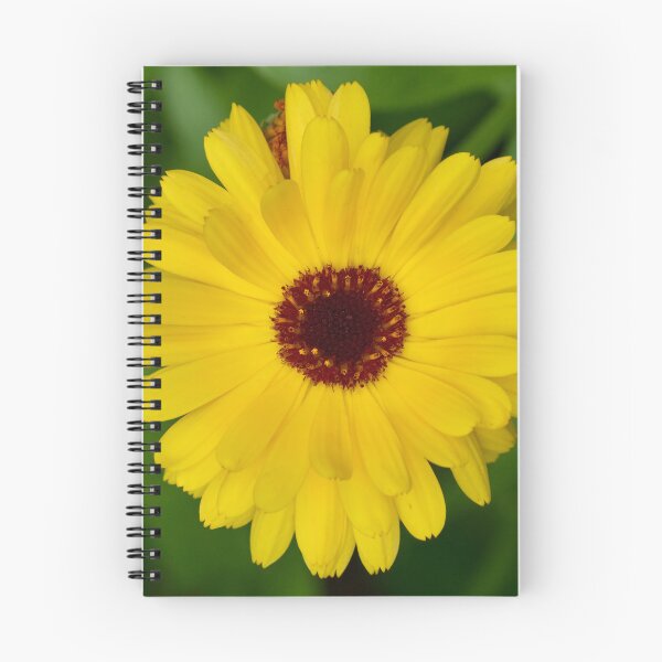 Item preview, Pot marigold bright yellow designed and sold by Jouko Lehto Photography.