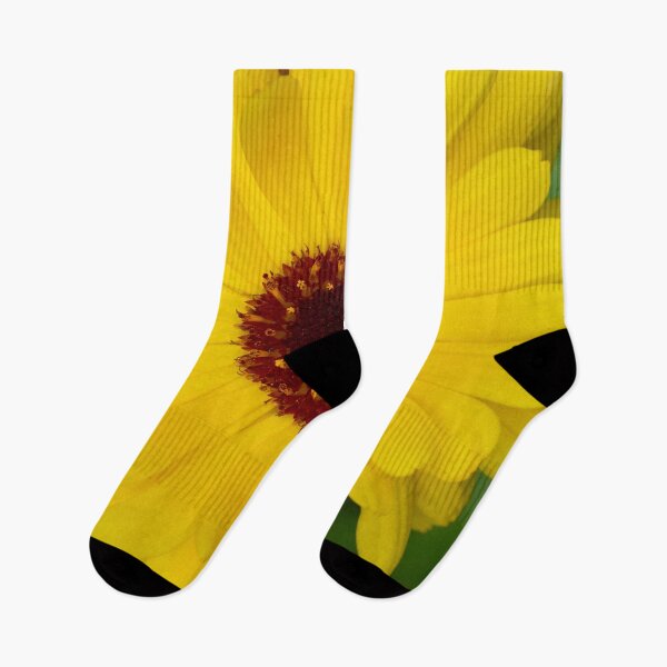 Item preview, Pot marigold bright yellow designed and sold by Jouko Lehto Photography.
