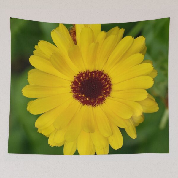 Item preview, Pot marigold bright yellow designed and sold by Jouko Lehto Photography.