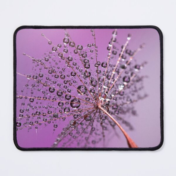 Item preview, Dandelions designed and sold by Catrinann.