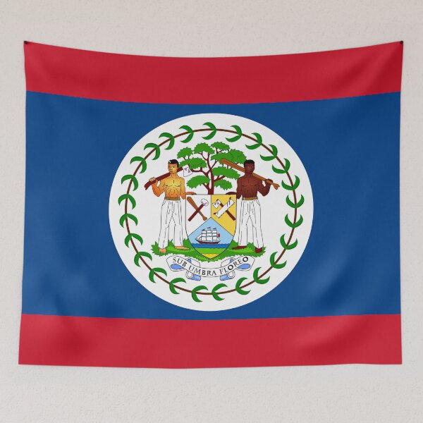 Item preview, Belize Flag Print: Unity in Diversity and Heritage designed and sold by communedesigns.