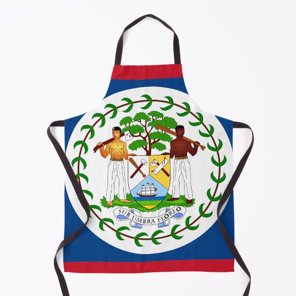 Item preview, Belize Flag Print: Unity in Diversity and Heritage designed and sold by communedesigns.