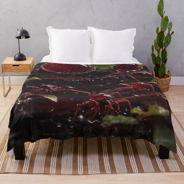 Item preview, Dewdrop Architects designed and sold by Sadia  Jannat.