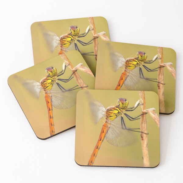 Item preview, Dragonfly designed and sold by Catrinann.
