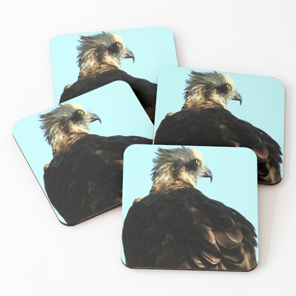Item preview, George the Osprey perched in a tree @ the Osprey House designed and sold by BirdsAlive.