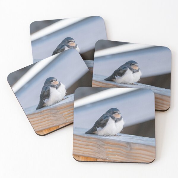 Item preview, Barn Swallow Fledgling designed and sold by ansaharju.